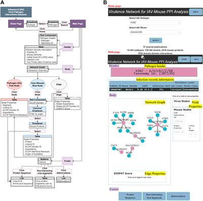 Virulence network of interacting domains of influenza a and mouse proteins
